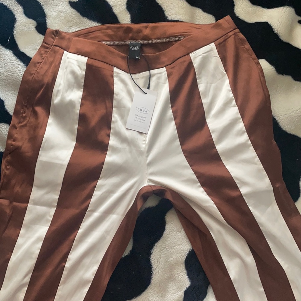 Brand new silky striped pants from Cider